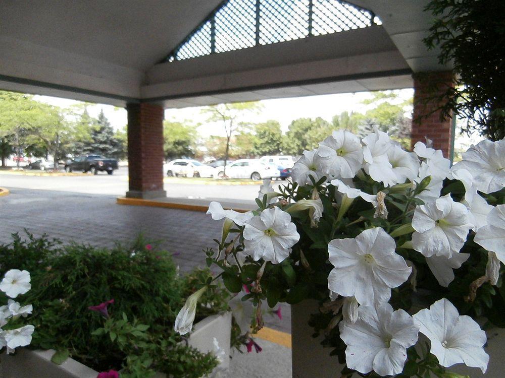Holiday Inn Express Hamilton-Stoney Creek Luaran gambar